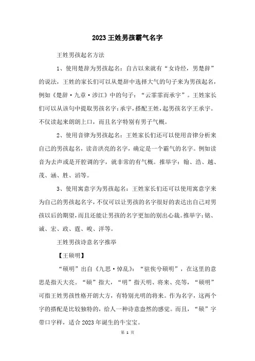2023王姓男孩霸气名字