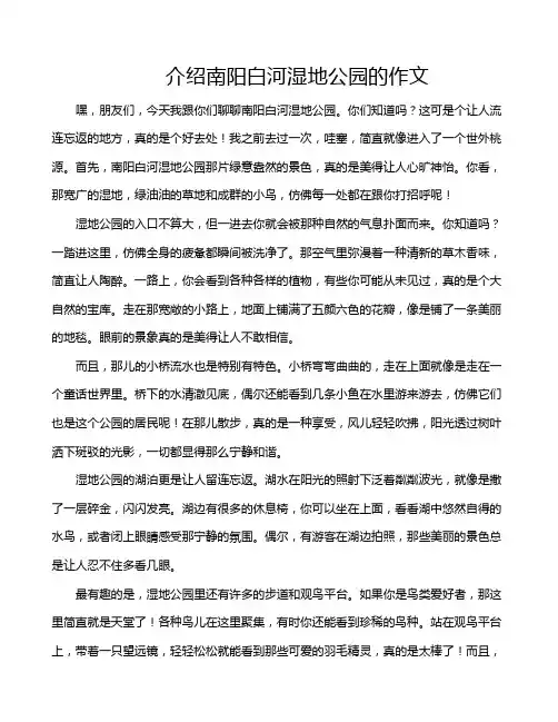 介绍南阳白河湿地公园的作文