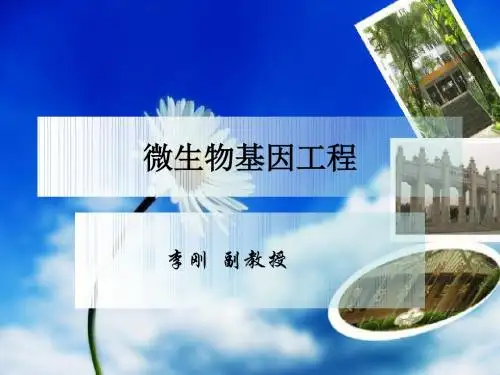 PCR引物的设计与实验操作技巧