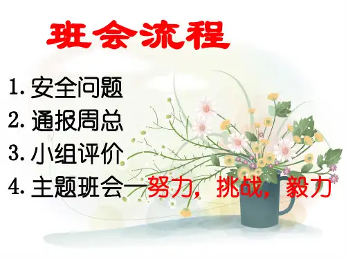 初三班会--努力,挑战,毅力--一轮复习
