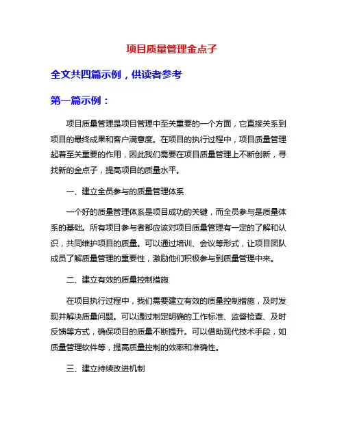 项目质量管理金点子