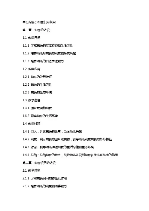 中班综合小蜘蛛织网教案