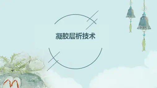 《凝胶层析技术》课件