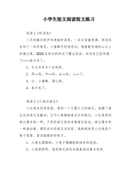 小学生短文阅读短文练习