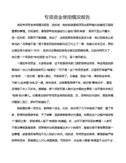 专项资金使用情况报告