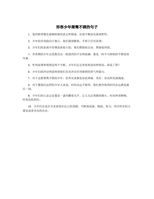 形容少年桀骜不驯的句子