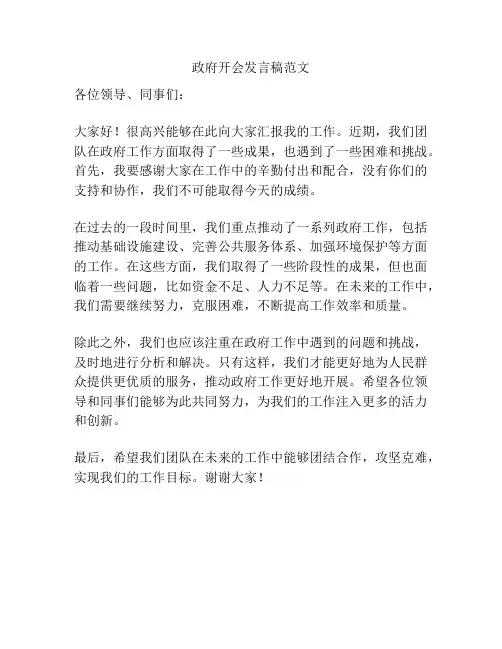 政府开会发言稿范文