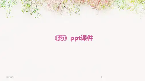 05085_《药》ppt课件
