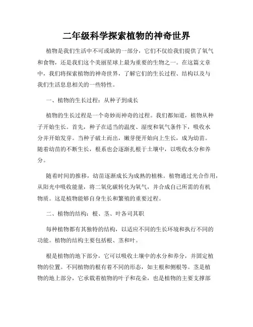 二年级科学探索植物的神奇世界