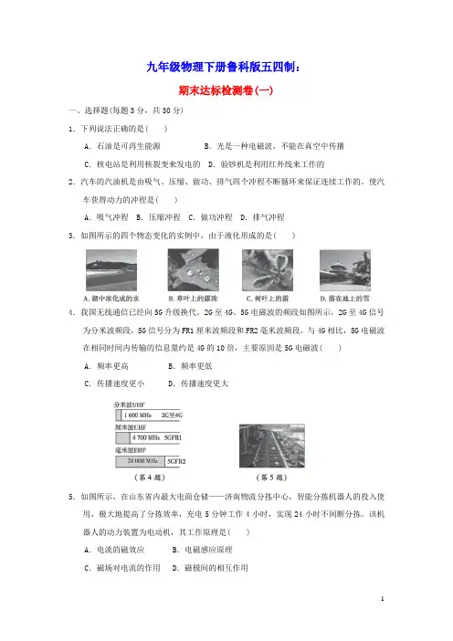 2022九年级物理下学期期末达标检测卷一鲁科版五四制(含答案)