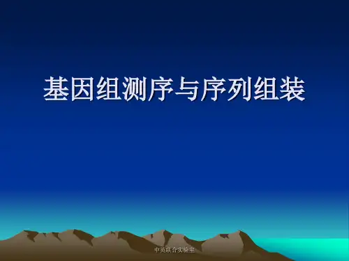 基因组学-课件-4基因组测序与序列组装