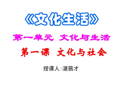 文化生活 第一课文化与社会复习课件.ppt