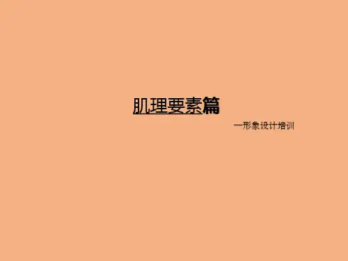 形象设计培训肌理要素篇PPT课件