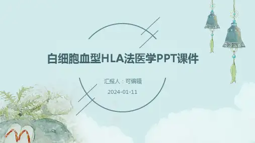 白细胞血型HLA法医学ppt课件