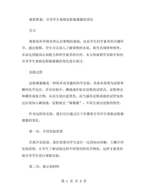 观察教案：引导学生观察淀粉躲猫猫的变化