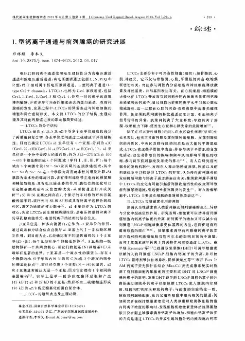 L型钙离子通道与前列腺癌的研究进展