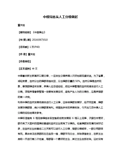 中蜂饲养从人工分蜂做起