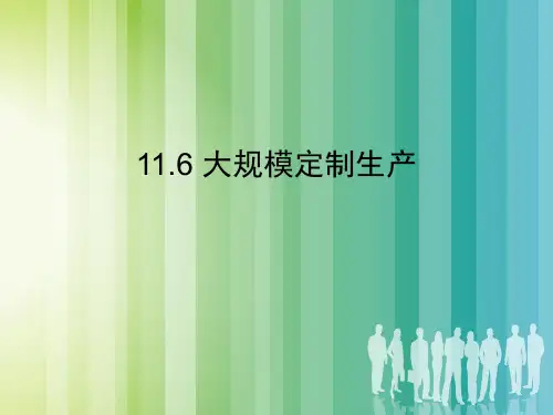 大规模定制