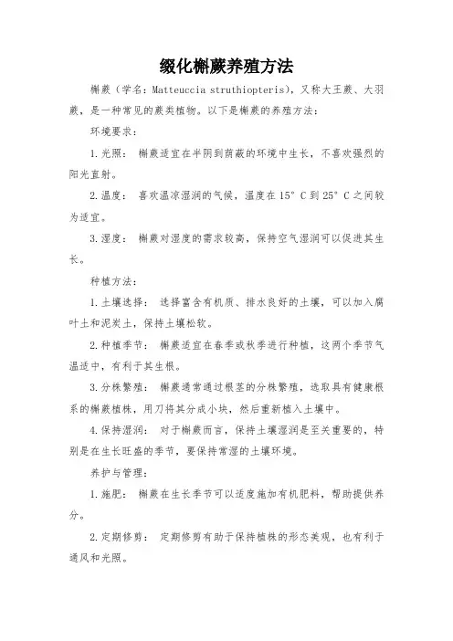 缀化槲蕨养殖方法