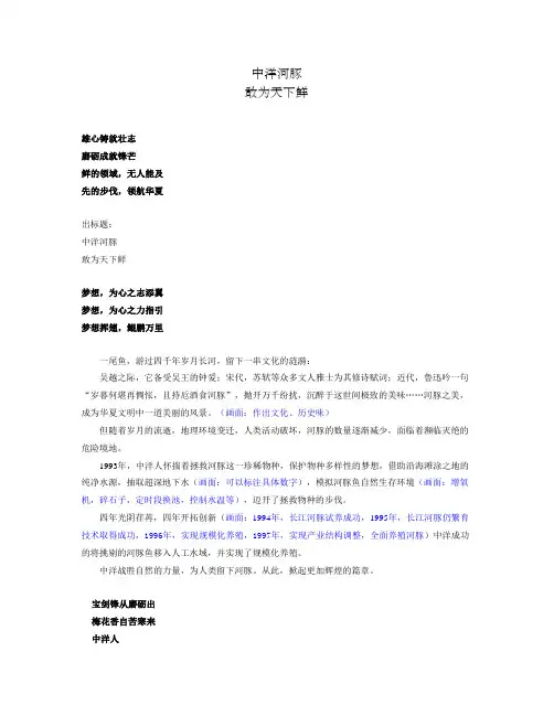 食品 宣传片文案