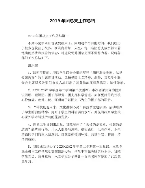 2019年团总支工作总结