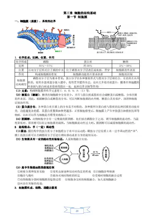 第三章细胞的结构基础——细胞膜