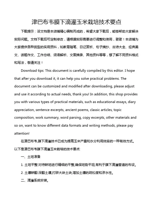 津巴布韦膜下滴灌玉米栽培技术要点
