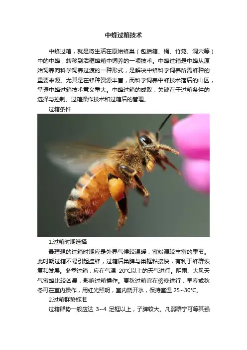 中蜂过箱技术