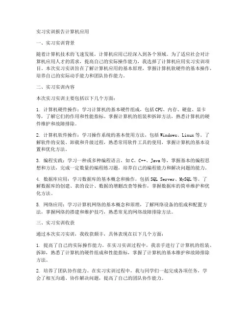 实习实训报告计算机应用