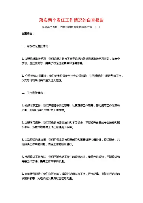 落实两个责任工作情况的自查报告2篇