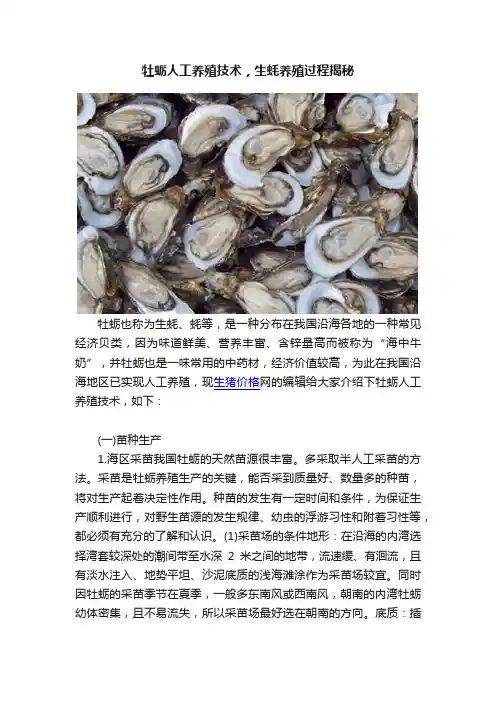 牡蛎人工养殖技术，生蚝养殖过程揭秘