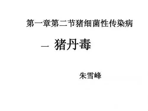 第二节 一猪丹毒
