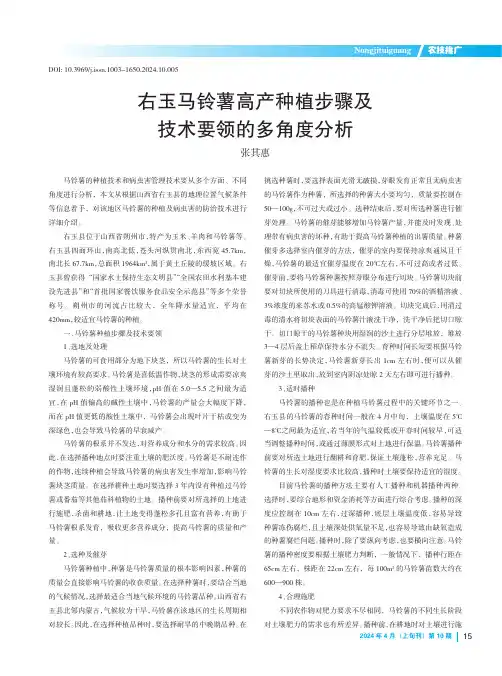 右玉马铃薯高产种植步骤及技术要领的多角度分析