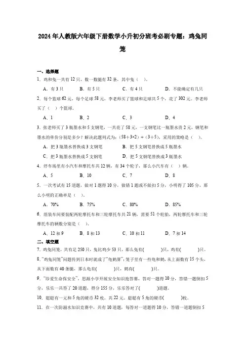 2024年人教版六年级下册数学小升初分班考必刷专题：鸡兔同笼
