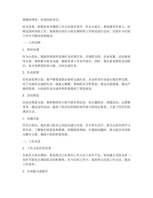 小组长总结范文