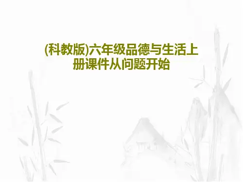 (科教版)六年级品德与生活上册课件从问题开始共19页文档