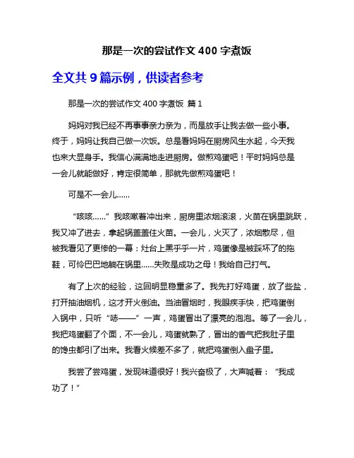 那是一次的尝试作文400字煮饭