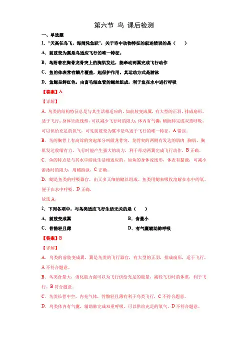 5.1.6鸟(练习)(解析版)