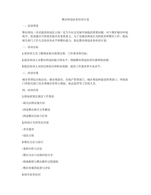 整治两违业务培训计划