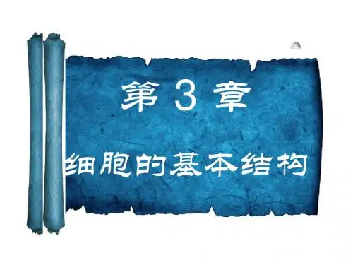 细胞膜——系统的边界和细胞核——系统的控制中心ppt 人教课标版