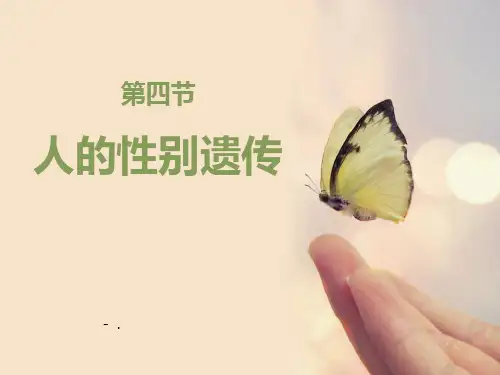 《人的性别遗传》教学课件(23张PPT)