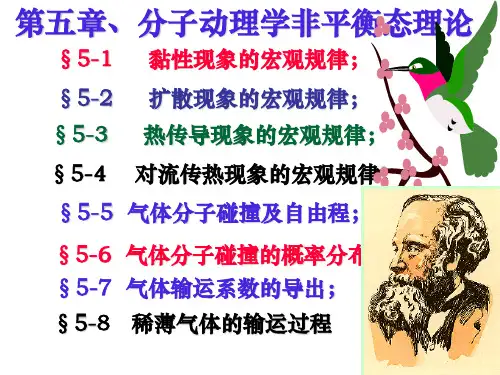 第5章 非平衡态动力学理论