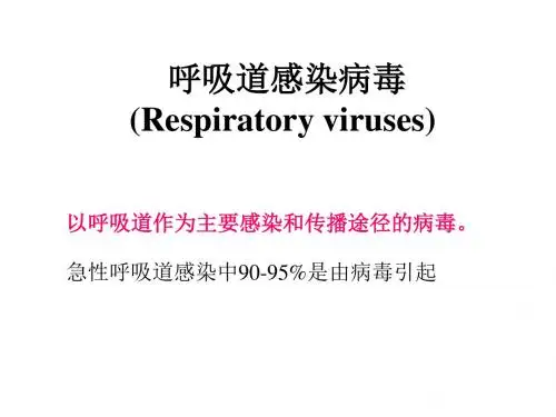 呼吸道感染病毒Respiratoryviruses