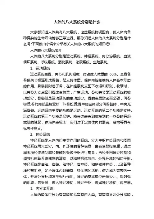 人体的八大系统分别是什么