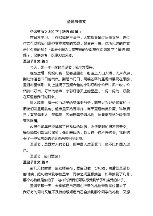 圣诞节作文300字（精选60篇）