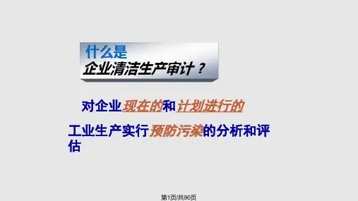 清洁生产审核简PPT课件