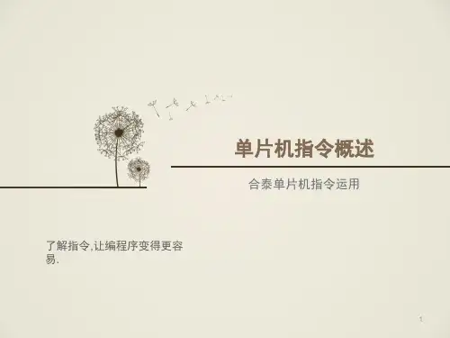 经典：合泰指令教学