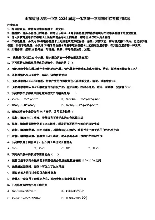 山东省潍坊第一中学2024届高一化学第一学期期中联考模拟试题含解析