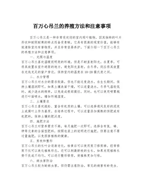 百万心吊兰的养殖方法和注意事项