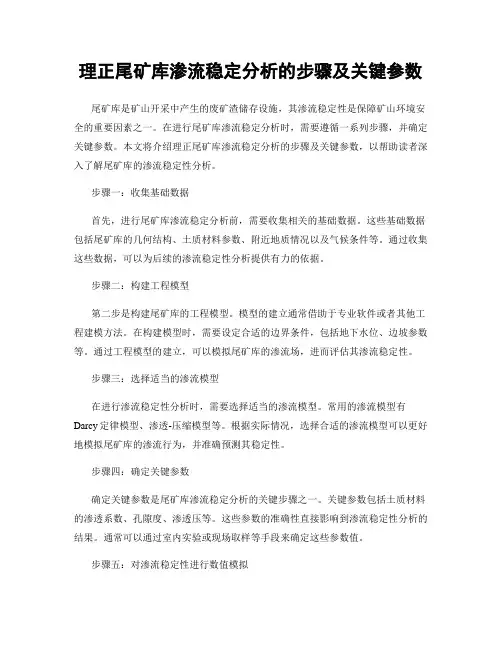 理正尾矿库渗流稳定分析的步骤及关键参数
